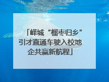 峄城“榴枣归乡”引才直通车驶入校地企共赢新航程