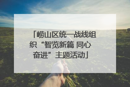 崂山区统一战线组织“智览新篇 同心奋进”主题活动