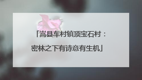 嵩县车村镇顶宝石村：密林之下有诗意有生机