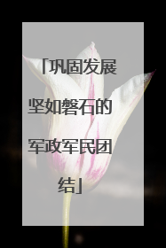 巩固发展坚如磐石的军政军民团结