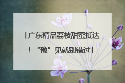 广东精品荔枝甜蜜抵达！“豫”见就别错过