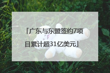 广东与东盟签约7项目累计超31亿美元