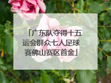 广东队夺得十五运会群众七人足球赛佛山赛区首金
