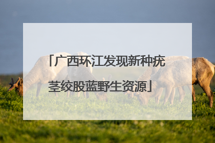 广西环江发现新种疣茎绞股蓝野生资源