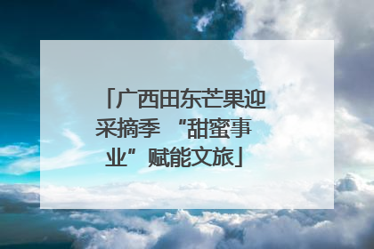 广西田东芒果迎采摘季 “甜蜜事业”赋能文旅