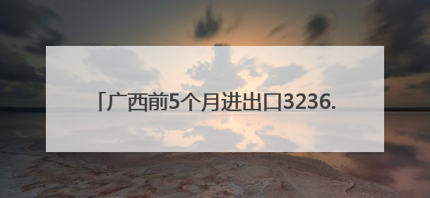广西前5个月进出口3236.4亿元 同比增长14.8%
