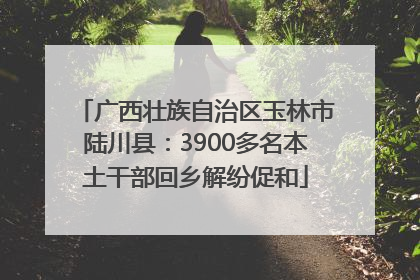 广西壮族自治区玉林市陆川县：3900多名本土干部回乡解纷促和