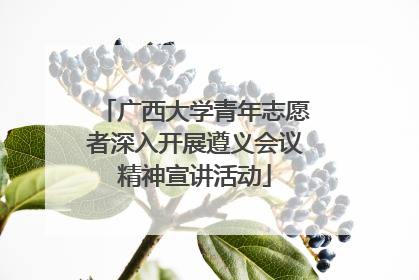 广西大学青年志愿者深入开展遵义会议精神宣讲活动