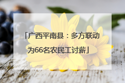 广西平南县：多方联动为66名农民工讨薪