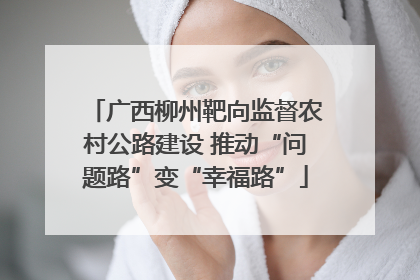 广西柳州靶向监督农村公路建设 推动“问题路”变“幸福路”