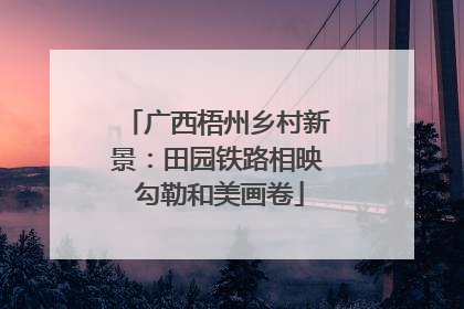 广西梧州乡村新景：田园铁路相映 勾勒和美画卷