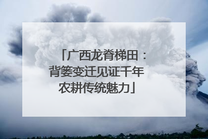 广西龙脊梯田：背篓变迁见证千年农耕传统魅力