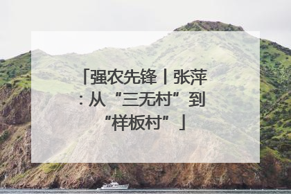强农先锋丨张萍：从“三无村”到“样板村”