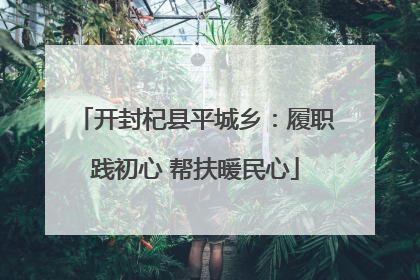 开封杞县平城乡：履职践初心 帮扶暖民心