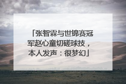 张智霖与世锦赛冠军赵心童切磋球技，本人发声：很梦幻