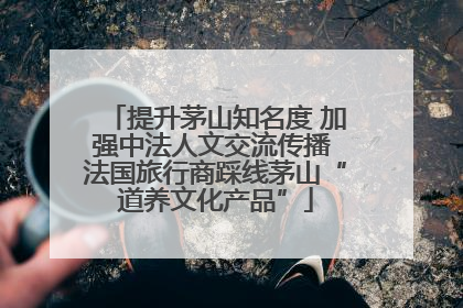提升茅山知名度 加强中法人文交流传播 法国旅行商踩线茅山“道养文化产品”