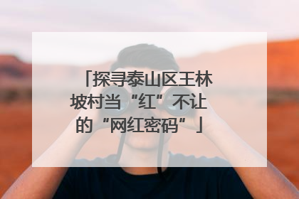 探寻泰山区王林坡村当“红”不让的“网红密码”