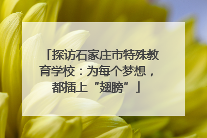 探访石家庄市特殊教育学校：为每个梦想，都插上“翅膀”