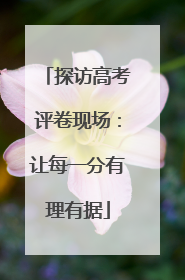 探访高考评卷现场：让每一分有理有据