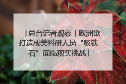 总台记者观察丨欧洲欲打造成美科研人员“吸铁石”面临现实挑战