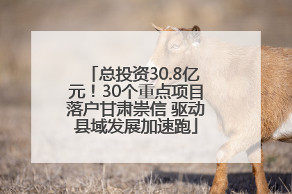 总投资30.8亿元！30个重点项目落户甘肃崇信 驱动县域发展加速跑