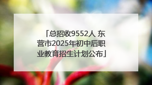 总招收9552人 东营市2025年初中后职业教育招生计划公布