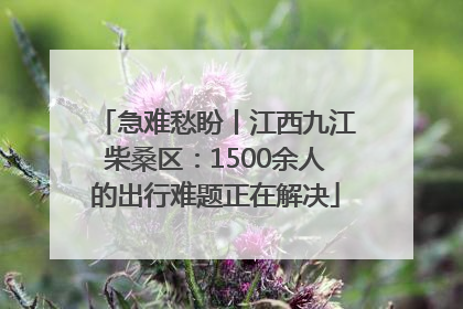 急难愁盼丨江西九江柴桑区：1500余人的出行难题正在解决