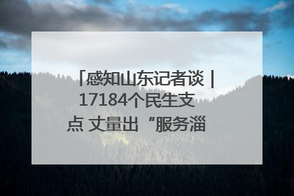 感知山东记者谈｜17184个民生支点 丈量出“服务淄博”的文明温度