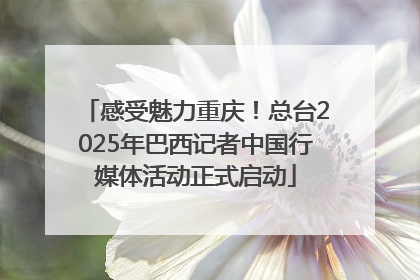 感受魅力重庆！总台2025年巴西记者中国行媒体活动正式启动