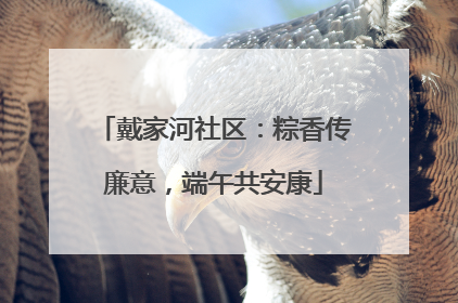 戴家河社区：粽香传廉意，端午共安康