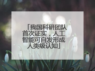 我国科研团队首次证实，人工智能可自发形成人类级认知