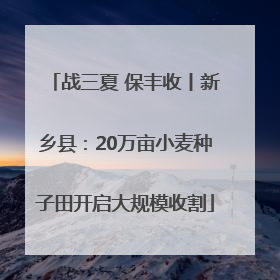 战三夏 保丰收丨新乡县：20万亩小麦种子田开启大规模收割