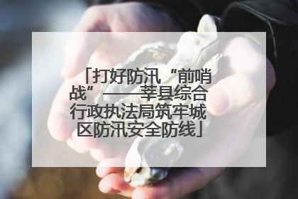 打好防汛“前哨战”——莘县综合行政执法局筑牢城区防汛安全防线