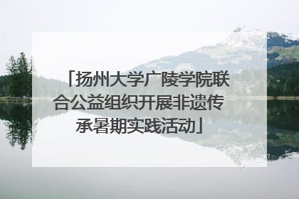 扬州大学广陵学院联合公益组织开展非遗传承暑期实践活动