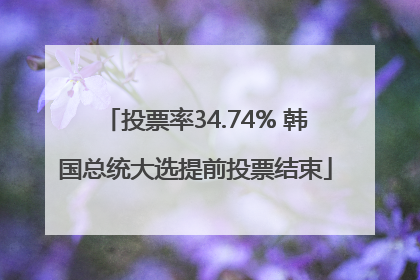 投票率34.74% 韩国总统大选提前投票结束