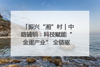 振兴“湘”村｜中路铺镇：科技赋能“金蛋产业” 全链驱动乡村振兴