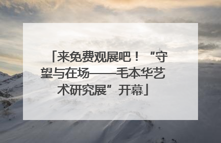 来免费观展吧！“守望与在场——毛本华艺术研究展”开幕