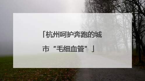杭州呵护奔跑的城市“毛细血管”
