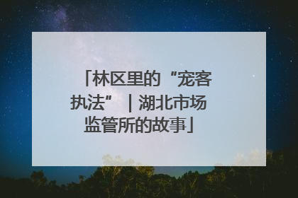 林区里的“宠客执法”｜湖北市场监管所的故事