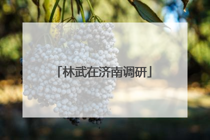 林武在济南调研