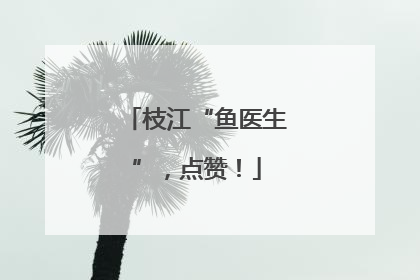 枝江“鱼医生”，点赞！