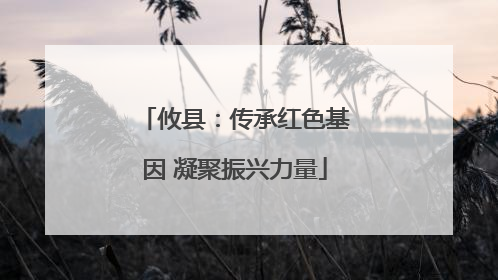 攸县：传承红色基因 凝聚振兴力量