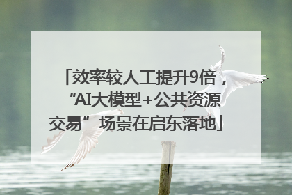 效率较人工提升9倍，“AI大模型+公共资源交易”场景在启东落地