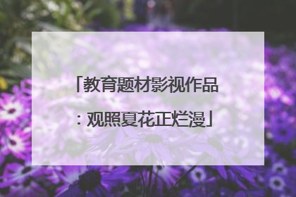 教育题材影视作品：观照夏花正烂漫
