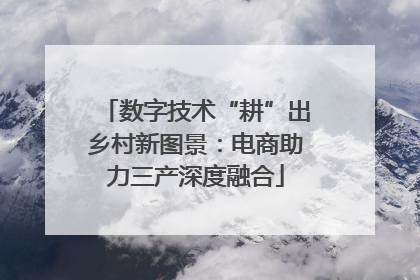 数字技术“耕”出乡村新图景：电商助力三产深度融合