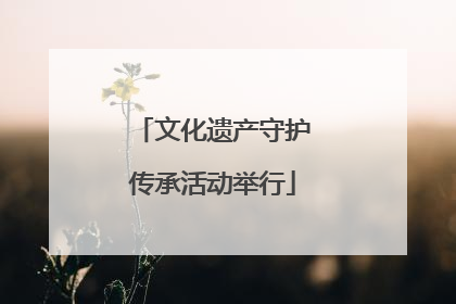 文化遗产守护传承活动举行