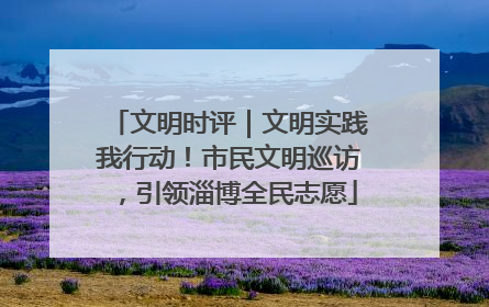 文明时评｜文明实践我行动！市民文明巡访，引领淄博全民志愿