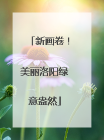 新画卷！美丽洛阳绿意盎然