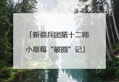 新疆兵团第十二师小草莓“破圈”记