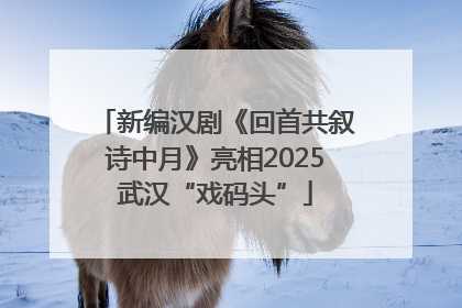 新编汉剧《回首共叙诗中月》亮相2025武汉“戏码头”